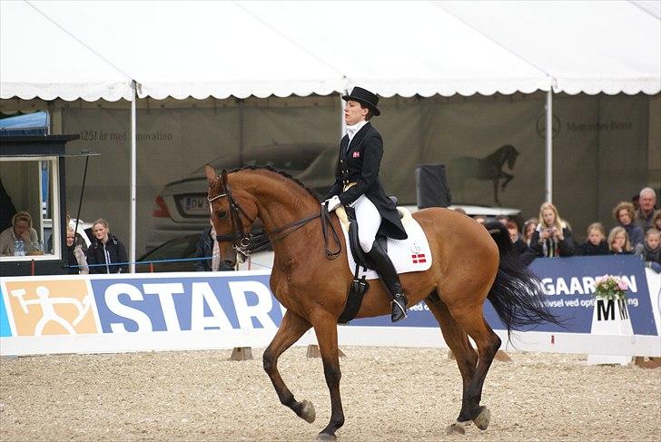 First Horse Grand Prix - 29 maj 2011 billede 455