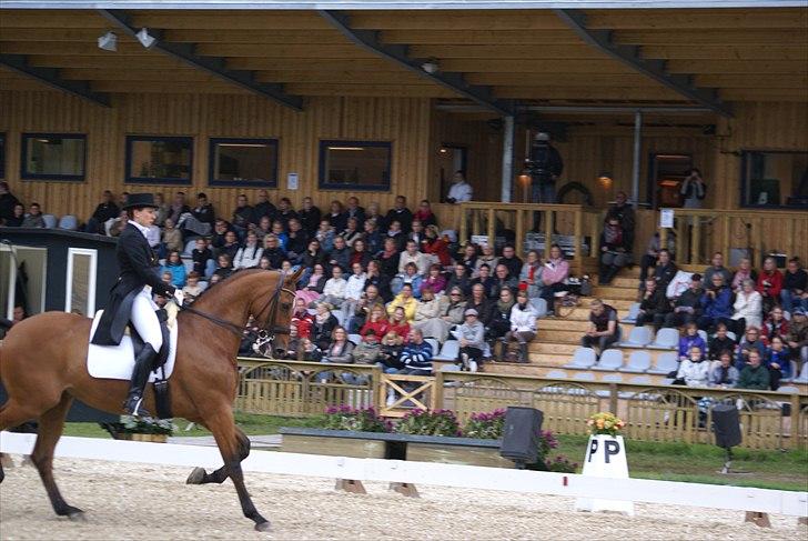 First Horse Grand Prix - 29 maj 2011 billede 461