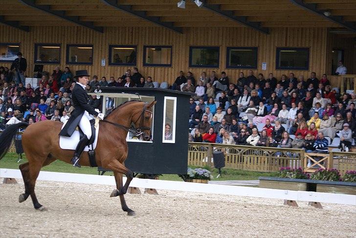 First Horse Grand Prix - 29 maj 2011 billede 462