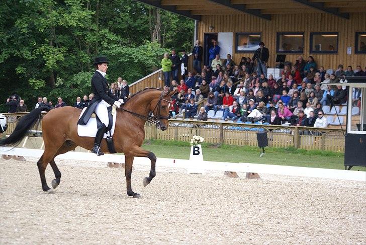 First Horse Grand Prix - 29 maj 2011 billede 464