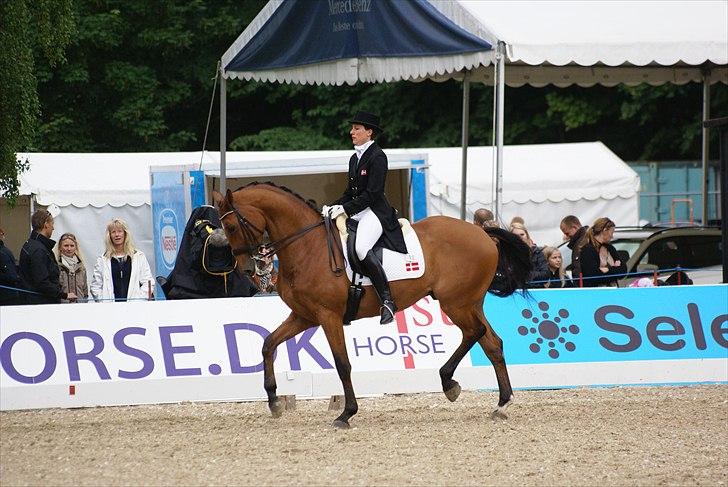 First Horse Grand Prix - 29 maj 2011 billede 467