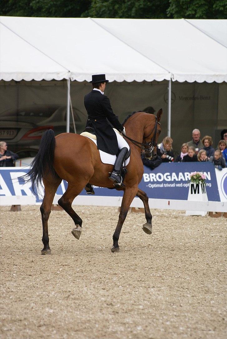 First Horse Grand Prix - 29 maj 2011 billede 470