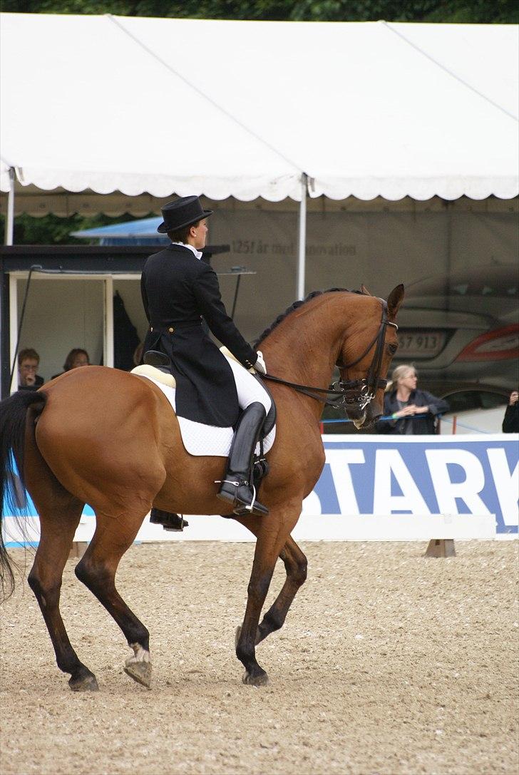 First Horse Grand Prix - 29 maj 2011 billede 473