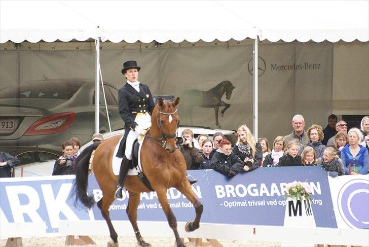 First Horse Grand Prix - 29 maj 2011 billede 481