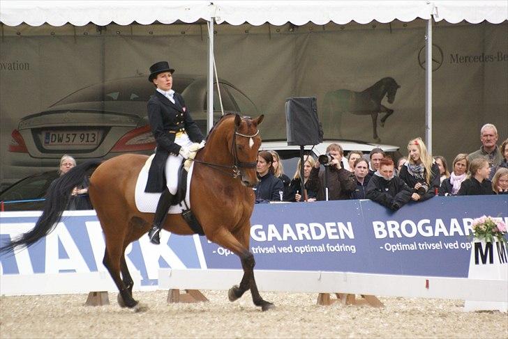 First Horse Grand Prix - 29 maj 2011 billede 482