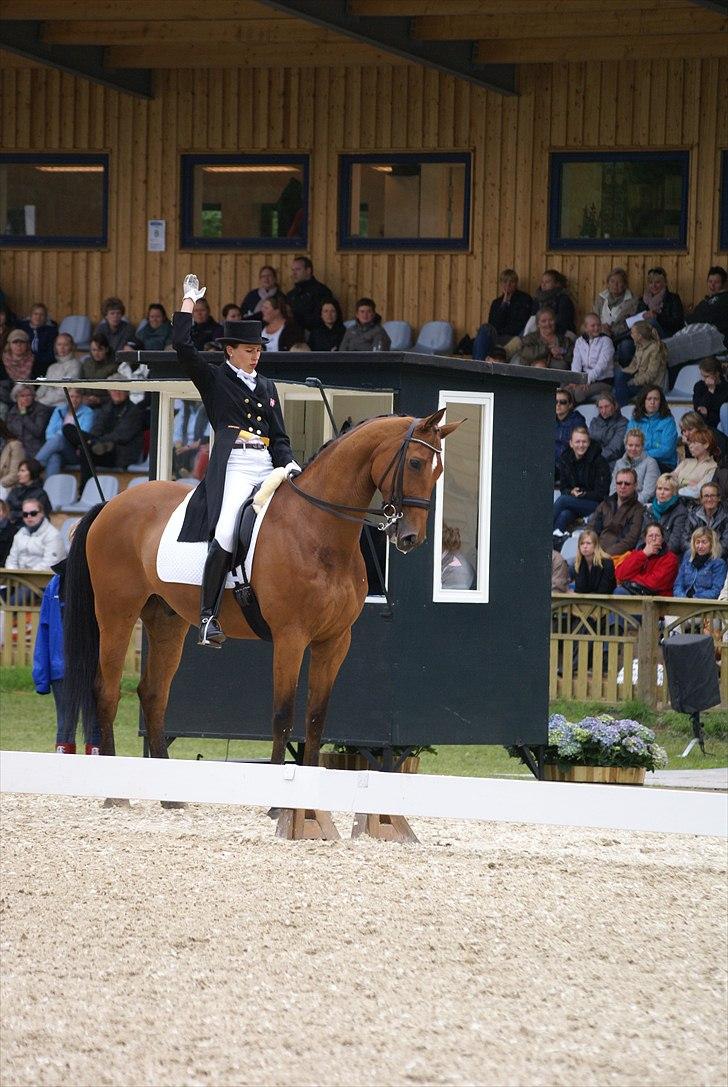 First Horse Grand Prix - 29 maj 2011 billede 489