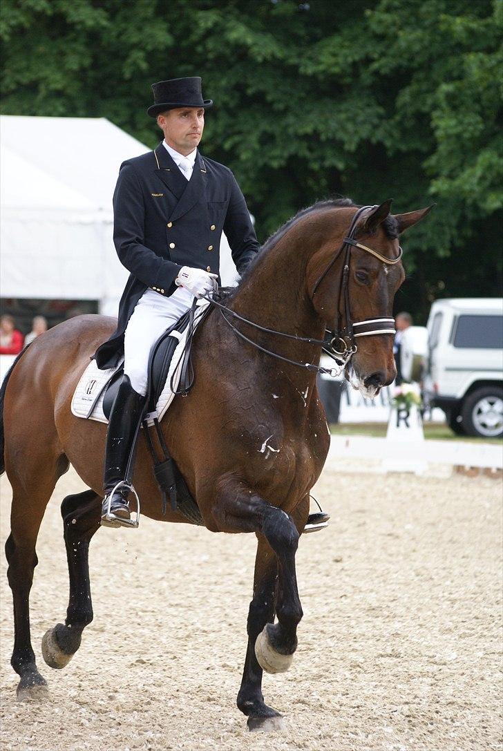 First Horse Grand Prix - 29 maj 2011 billede 498