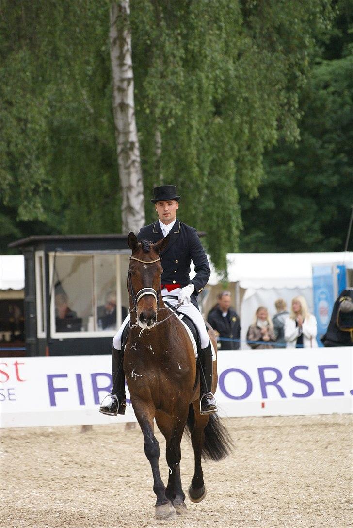 First Horse Grand Prix - 29 maj 2011 billede 501