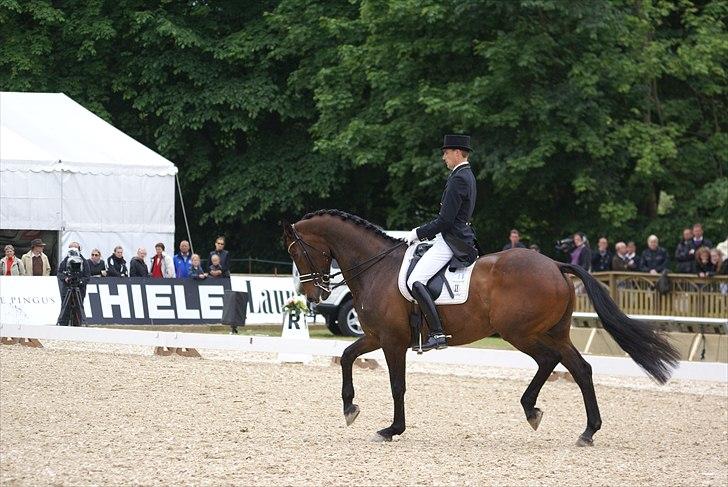 First Horse Grand Prix - 29 maj 2011 billede 507