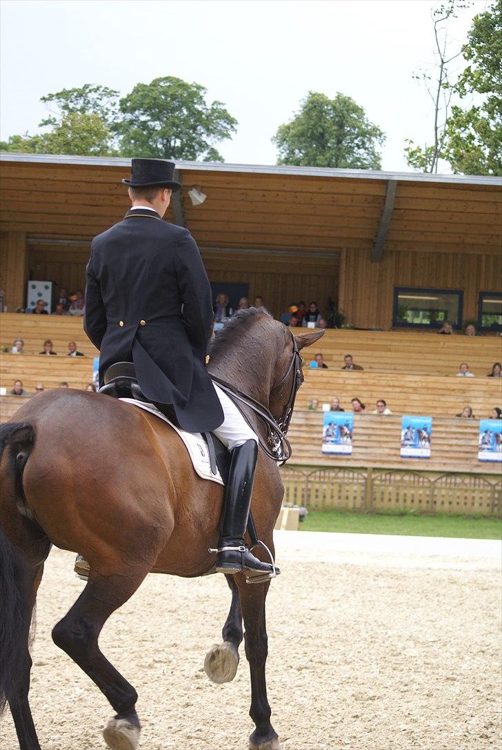 First Horse Grand Prix - 29 maj 2011 billede 514