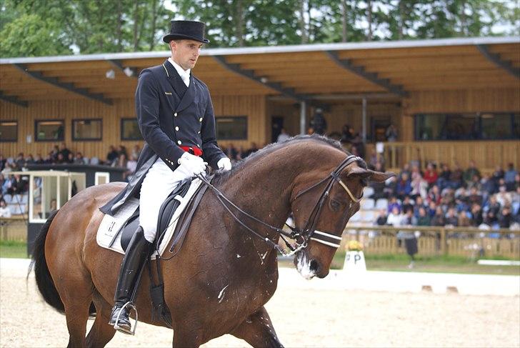 First Horse Grand Prix - 29 maj 2011 billede 517