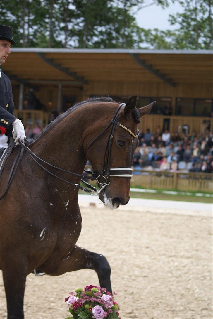 First Horse Grand Prix - 29 maj 2011 billede 521