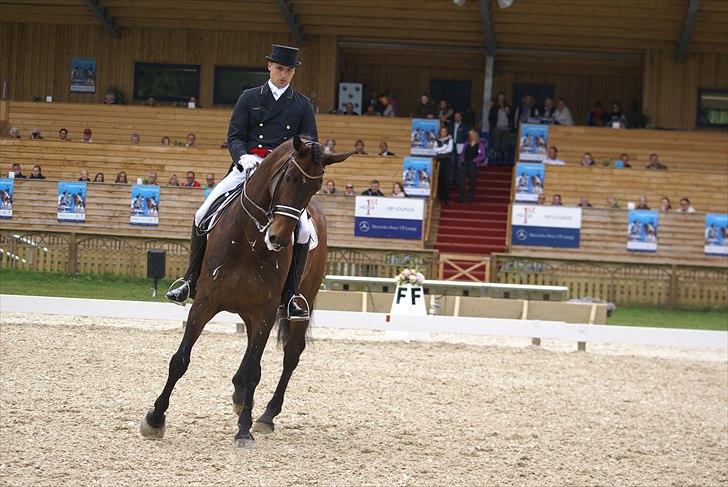 First Horse Grand Prix - 29 maj 2011 billede 527