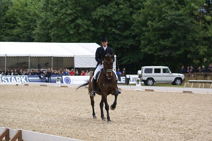 First Horse Grand Prix - 29 maj 2011 billede 539