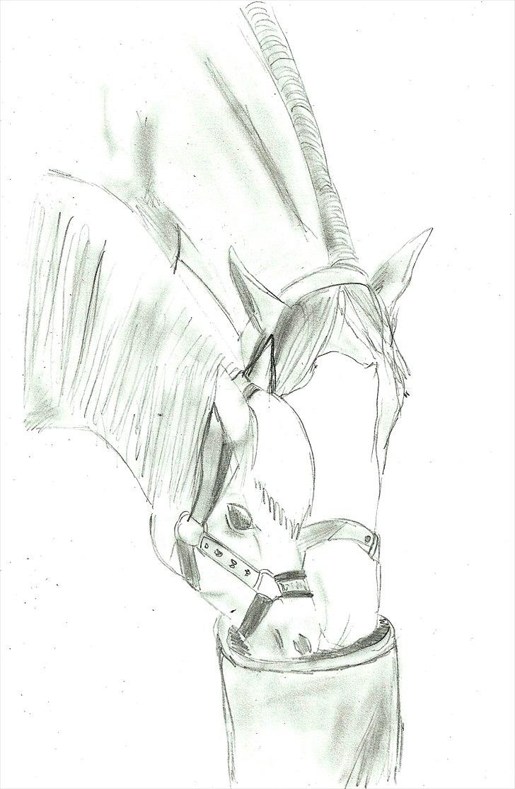 Tegninger :D   - Tegning til ~ Anne & Bugatti ~ :)
Tegnet tirsdag d. 31. maj 2011 billede 349