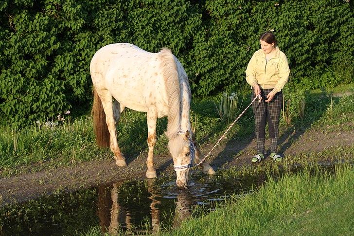 Charlie den 31 maj billede 3