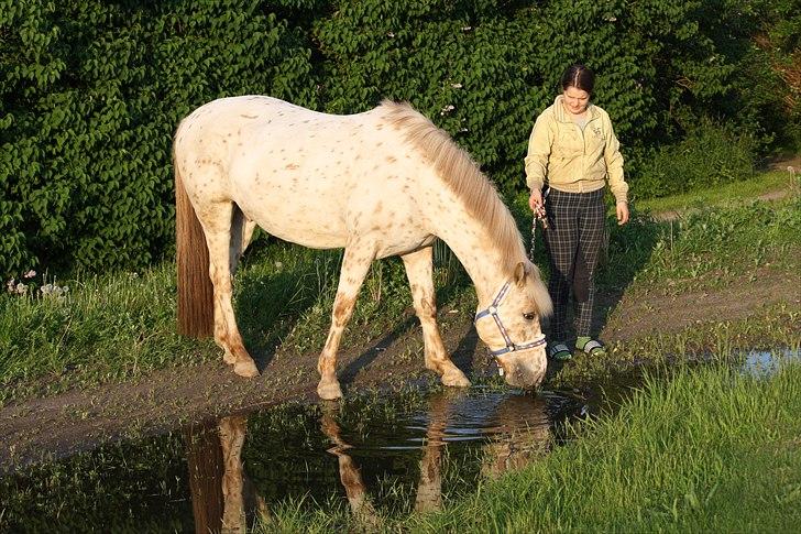 Charlie den 31 maj billede 13