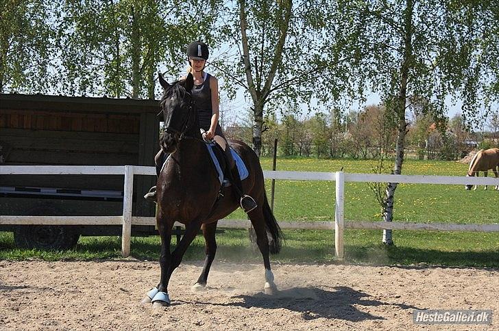 Lidt uheldige billeder af Lopez :)<3 haha:D - Hmm.. Hvad skal ejg så finde på, hvis nu jeg samler for benene og spreder bagbene så ser jeg sikkert lækker ud :-) billede 1