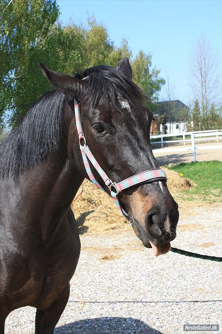 Lidt uheldige billeder af Lopez :)<3 haha:D - Jeg er sur :-P billede 6