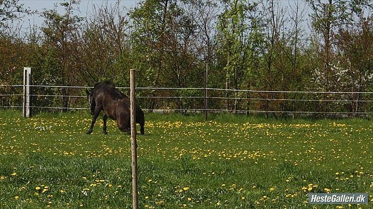 Lidt uheldige billeder af Lopez :)<3 haha:D - Årrhh... Kan jeg nu få min store fede røv med op?? :-) billede 7