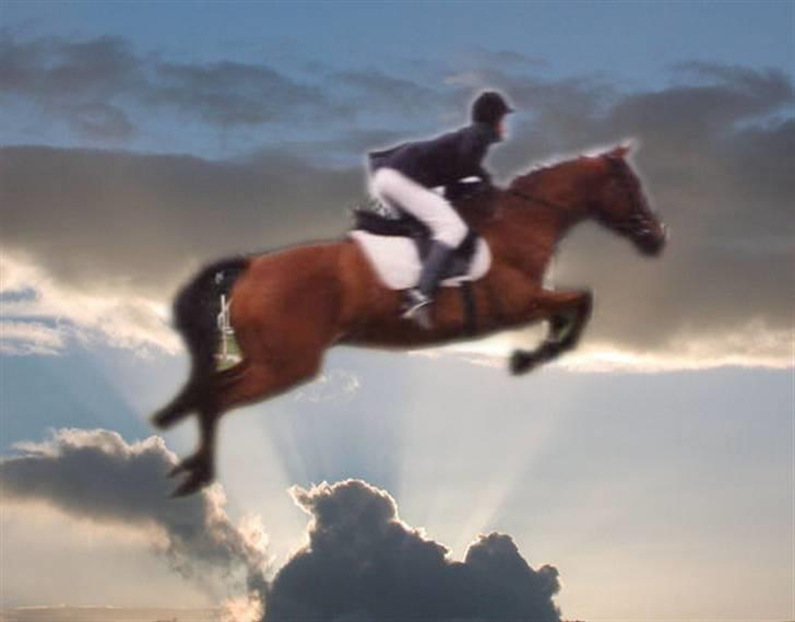 Billedredigering (har leget lidt...) - Hold da op han kan springe højr hva´? billede 25