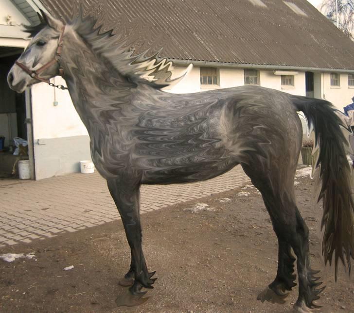 Billedredigering (har leget lidt...) - He he tjaaa legede bare lidt... billede 26