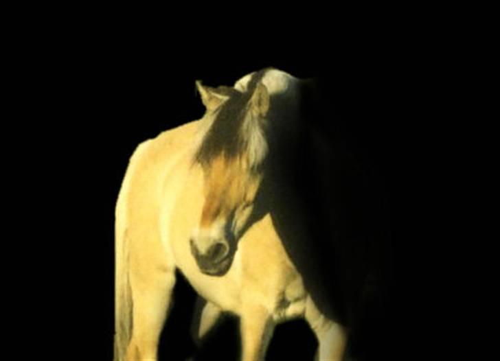 Billedredigering (har leget lidt...) billede 6