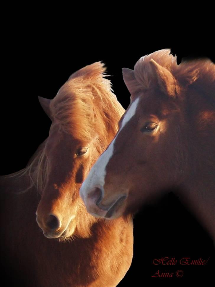 Billedredigering (har leget lidt...) - Fik lov til at låne billeder til at øve mig på billede 29