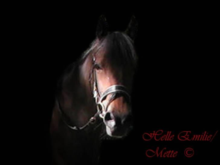 Billedredigering (har leget lidt...) - Fik lov til at låne billeder til at øve mig på billede 30