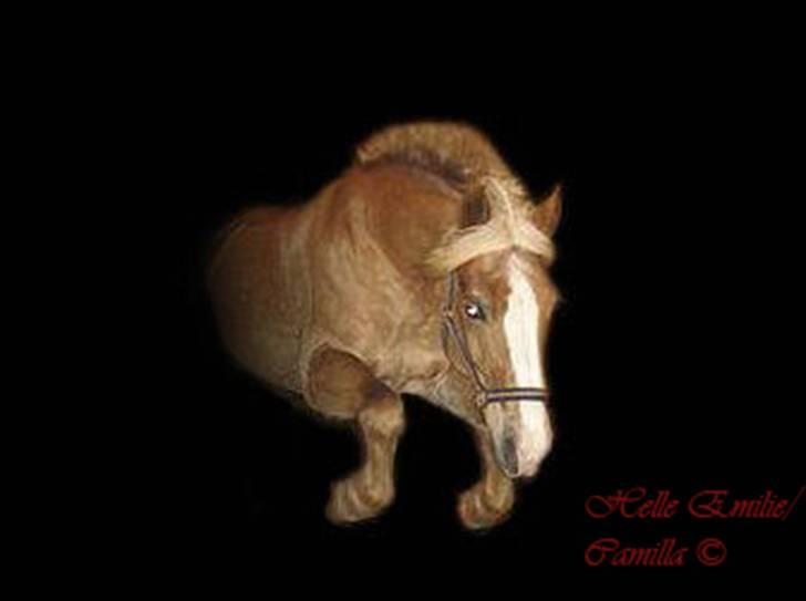 Billedredigering (har leget lidt...) - Fik lov til at låne billeder til at øve mig på billede 31