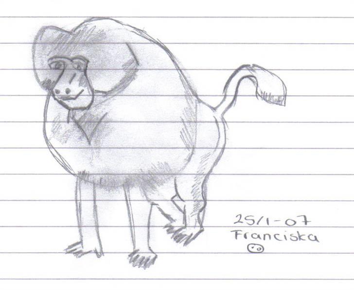 Mine tegninger af forskellige dyr - Her er en lille bavian hehe billede 1