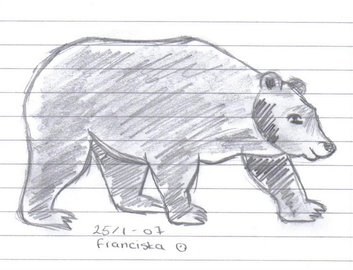 Mine tegninger af forskellige dyr - En alm. brun bjørn... billede 2