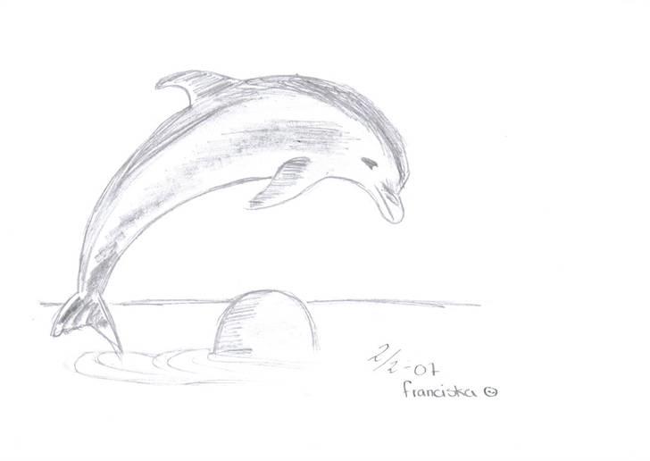 Mine tegninger af forskellige dyr - Den nyeste tegning af en delfin.. billede 3