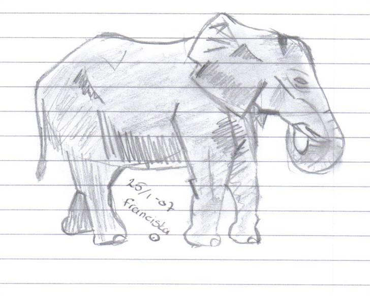 Mine tegninger af forskellige dyr - Den store elefant...
 billede 4