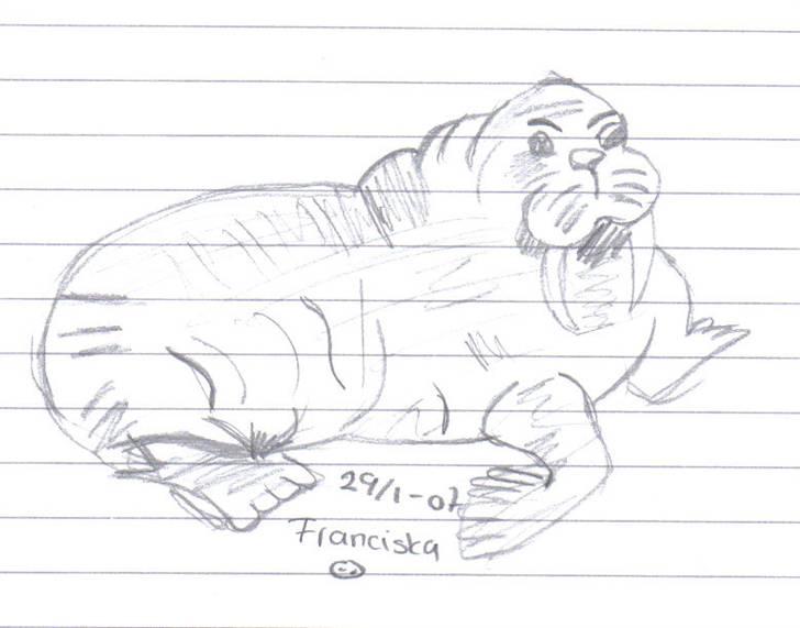 Mine tegninger af forskellige dyr - Den fede hvalros billede 6