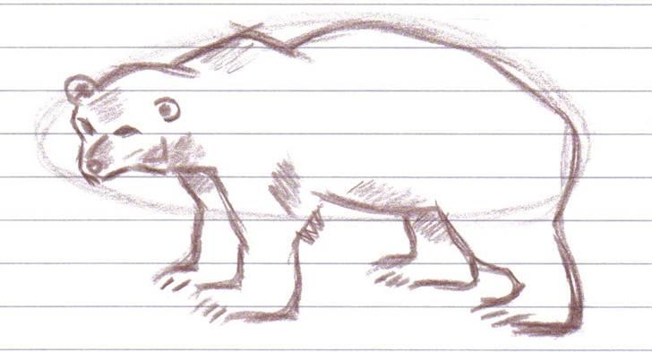 Mine tegninger af forskellige dyr - Den smukke isbjørn billede 7