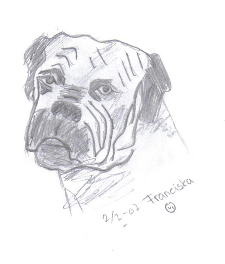 Mine tegninger af forskellige dyr - En hund der ser ked ud hehe billede 9