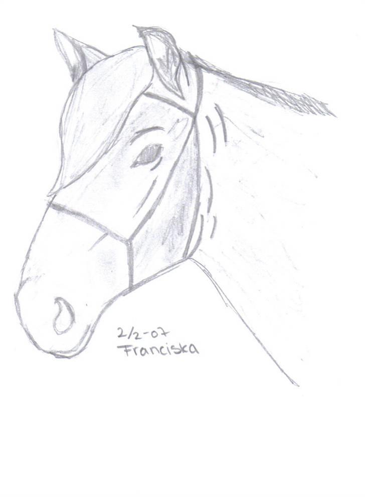 Mine tegninger af forskellige dyr - Venligst udlånt Tina B og hesten er jackie billede 11