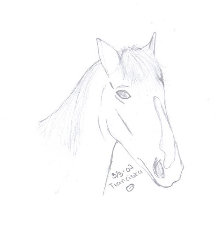 Mine tegninger af forskellige dyr - Venligst udlånt af bambino og pan og hesten er bambino billede 13