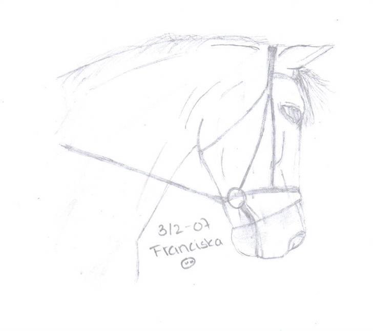 Mine tegninger af forskellige dyr - Venligst udlånt af thilde og hesten er lukas billede 14