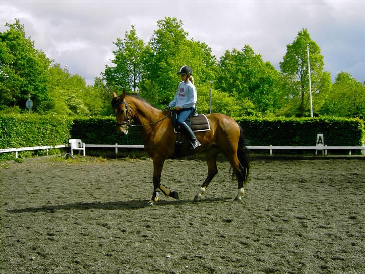 Cadi Din Giraf billede 1