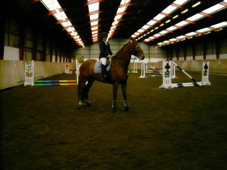 Cadi Din Giraf billede 3