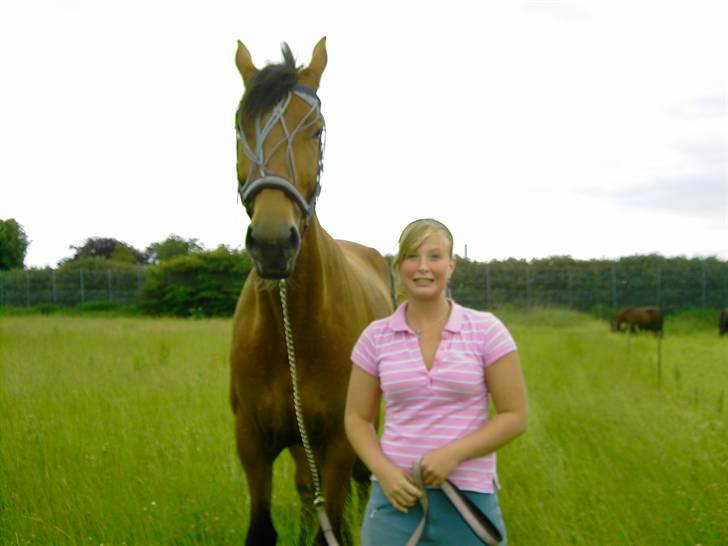 Cadi Din Giraf billede 11