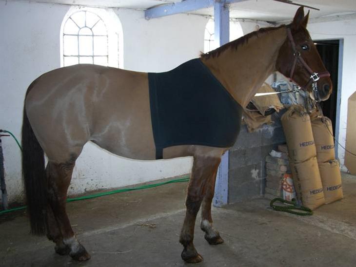 {{currentPhoto.altText}} billede {{currentPhoto.number}}