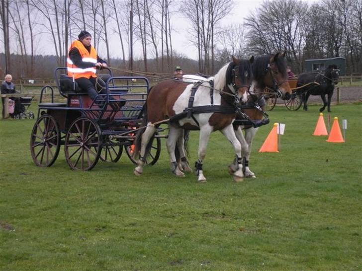 Min Familie og Vores Heste... - Jeg opvarmer lige fars spand... han er til stævne og er ved at gå bane... billede 37