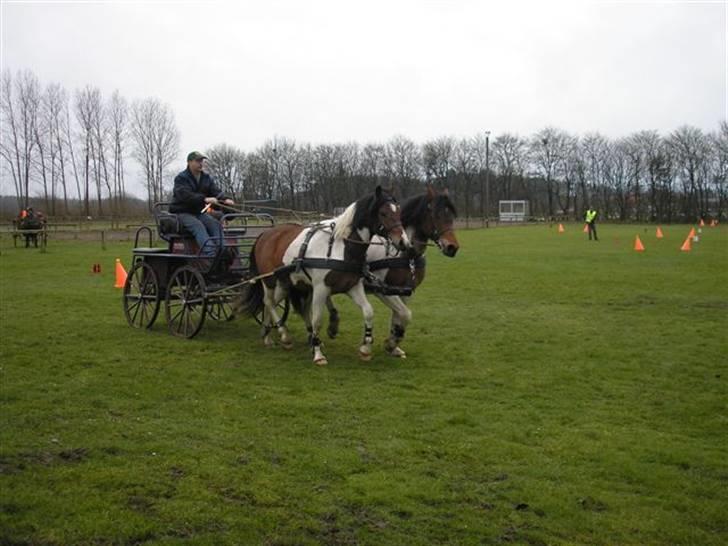 Min Familie og Vores Heste... - Far kører billede 38