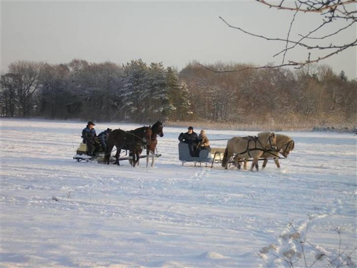 Min Familie og Vores Heste... - Kane tur... 2006-07 billede 39