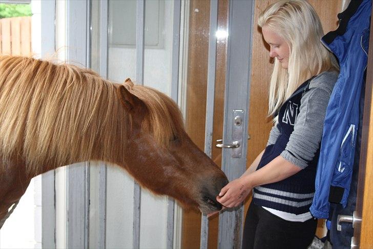 Vores bette hest var en tur inden for :D billede 5