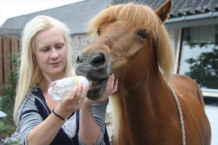 Vores bette hest var en tur inden for :D billede 7