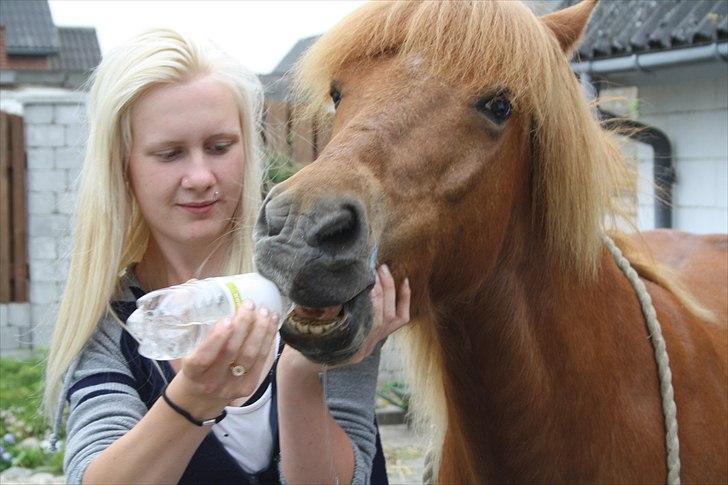 Vores bette hest var en tur inden for :D billede 8